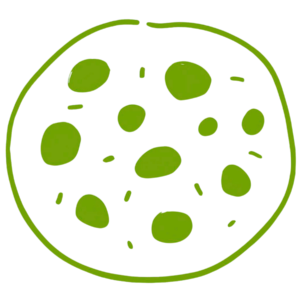 Danh mục loại bánh quy